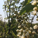 closetothewire avatar