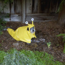 closetskeletonnn avatar