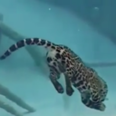 closing666-blog avatar