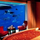 clothedandnaked avatar