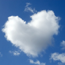 cloudappreciationgang avatar