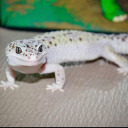 clouded-thoughts1 avatar