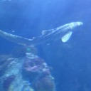 cloudiivision avatar