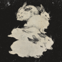 cloudrecesses-rabbit avatar