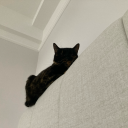 clouds-at-sea avatar