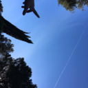 clouds-in-a-blue-sky avatar