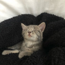 cloudsandseas avatar