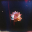 cloudscape1004 avatar