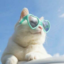 cloudsinmywounds avatar