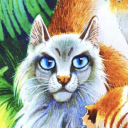 cloudtail avatar