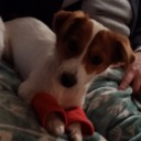 cloudy--catsmaid avatar