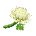 cloudy-crossing avatar