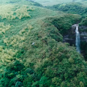 cloudy-recesses avatar