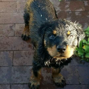 cloudyboystuff avatar