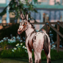 cloudydaywhims avatar