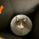 cloudyknight1 avatar