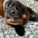 cloudywithachanceofcreativity avatar