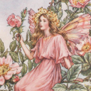 cloverandhagstones avatar