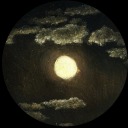 clovercalloway avatar