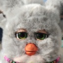 cloverfurby avatar