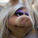 clownfluencer avatar