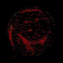 clownlobsterscasper avatar