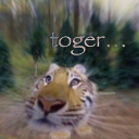 clowntrash618 avatar