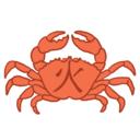 club-crab avatar