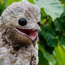 clubmaintenant avatar