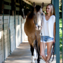 clucks-and-bucks avatar