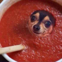 clueking-blog avatar