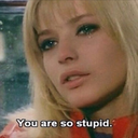 cluelessangelsstuff avatar