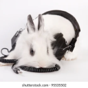 cluelesstypist avatar