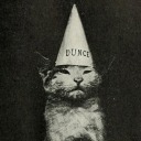 clumsy-corvid avatar