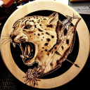 clumsykhajiit avatar