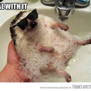 clumzygiraffe avatar