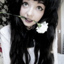 clunge-castle-blog avatar
