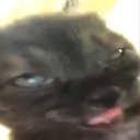 cmartisuwu-blog avatar