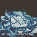 cmmn-wlth avatar