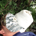 cndor760-blog avatar