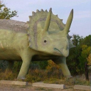 cnidarianfutility avatar