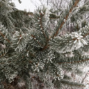 coastal-stims avatar