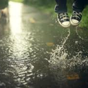 coats-n-scarves avatar