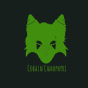 cobain-camophyri avatar