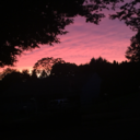 cobains-apologies avatar