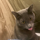 cobaltsoulsearcher avatar