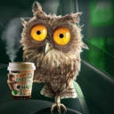 cobaowl avatar