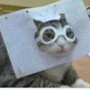 cobbyhell-raiser avatar