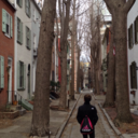 cocaine-kissed avatar