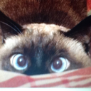 cocaineandcigarettesus avatar